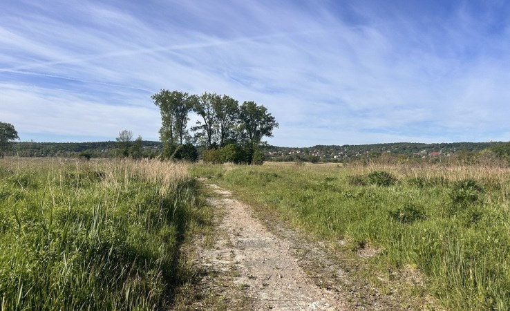 działka na sprzedaż - Brzezie, Łąkowa
